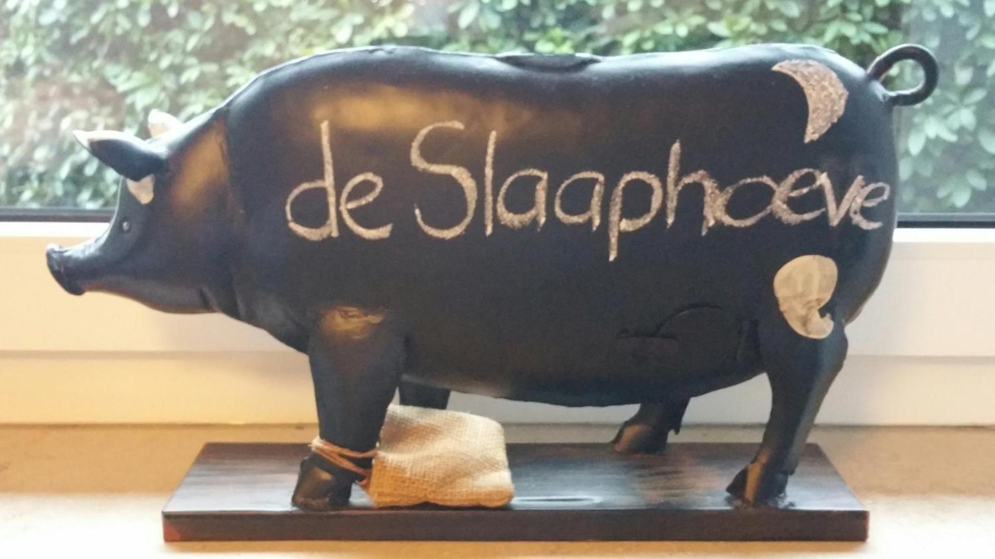 Ferienbauernhof De Slaaphoeve 엠리크하임 외부 사진
